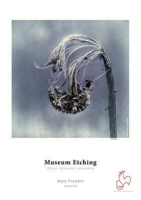 Hahnemuhle Textured Museum Etching 350gsm A4 / 25kpl