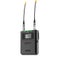 Deity THEOS D2RX Dual-Channel Wireless Receiver (Global version)
